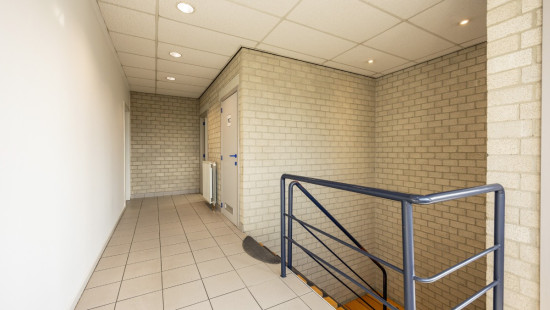 Wenenstraat - 6 - - 2321