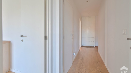 Rue du Magistrat - 9 - 2 - 1000