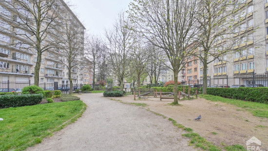 Square de Noville - 5 - 10 - 1081