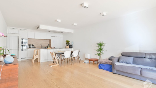 Rue du Magistrat - 9 - 2 - 1000