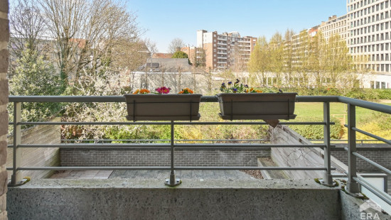 Rue du Magistrat - 9 - 2 - 1000