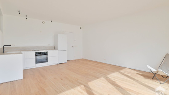 Square Coghen - 55B - 0 - 1180