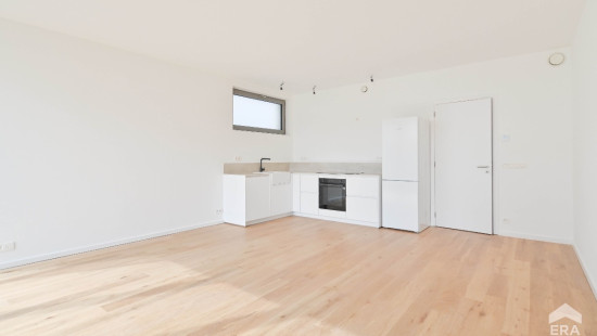 Square Coghen - 55B - 0 - 1180