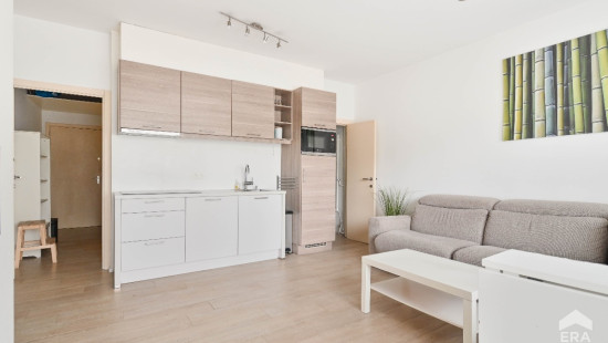 Drève des Renards - 6 - - 1180