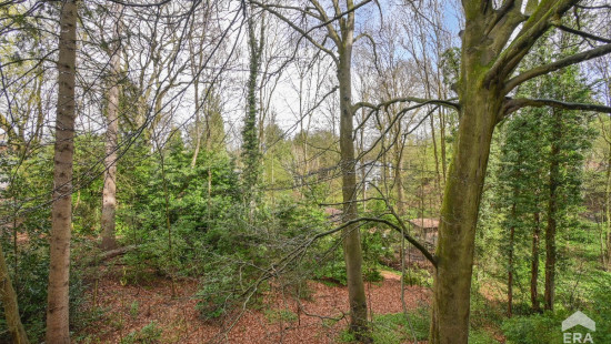 Drève des Renards - 6 - - 1180