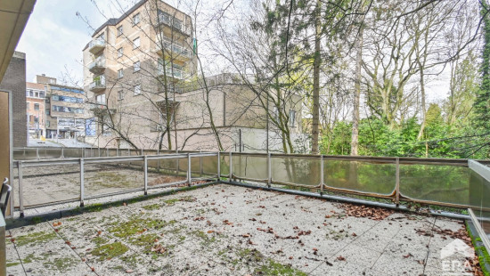 Drève des Renards - 6 - - 1180