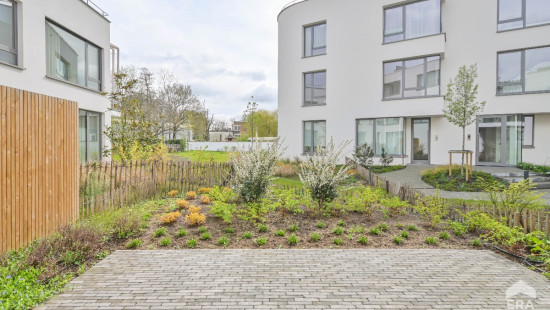 Square Coghen - 55B - 0 - 1180