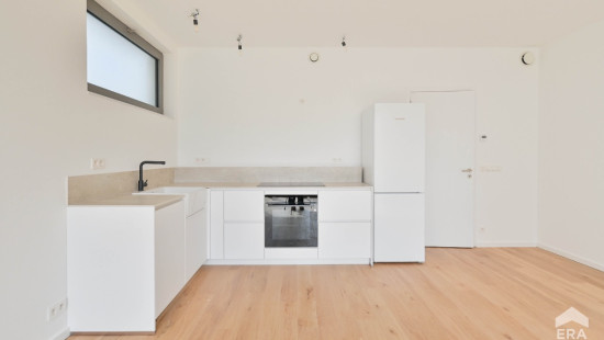 Square Coghen - 55B - 0 - 1180