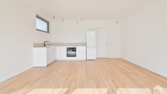 Square Coghen - 55B - 0 - 1180