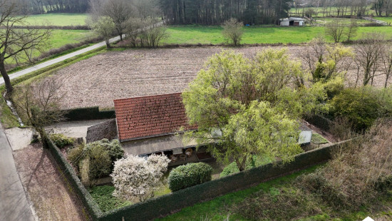 Molenstraat - 16 - - 2260