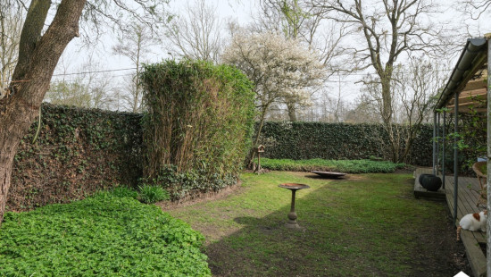 Molenstraat - 16 - - 2260