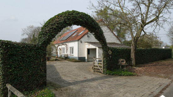 Molenstraat - 16 - - 2260