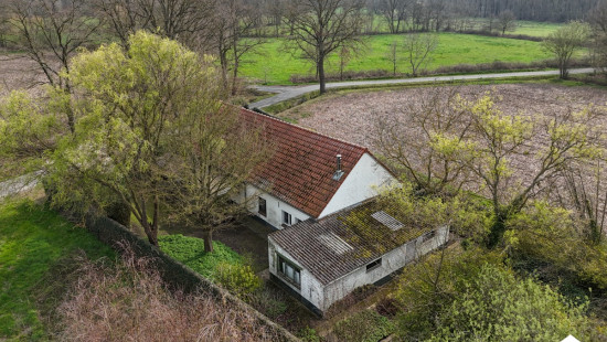 Molenstraat - 16 - - 2260