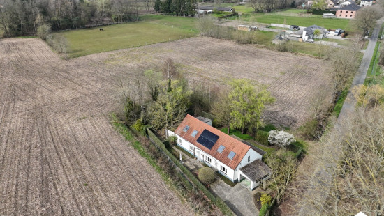 Molenstraat - 16 - - 2260