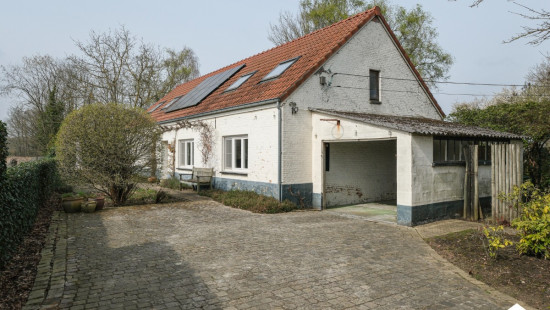 Molenstraat - 16 - - 2260