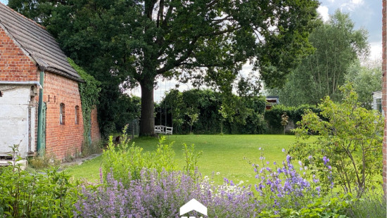 Sint-Margrietestraat - 42 - - 9981