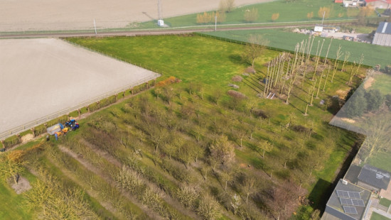 Reygaerdijkstraat - 0 - - 8630