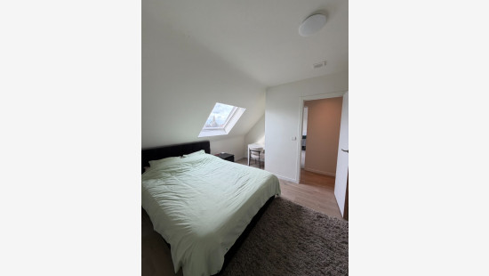 Zandbergstraat - 47 - - 8750