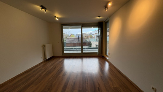 Varkensmarkt - 26 - 12 - 3590