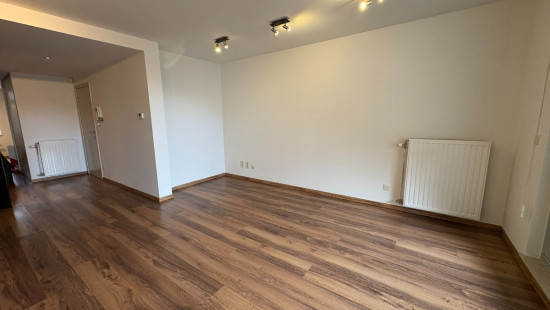 Varkensmarkt - 26 - 12 - 3590