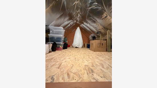 Zandbergstraat - 47 - - 8750