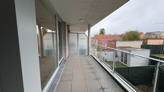 Varkensmarkt - 26 - 12 - 3590