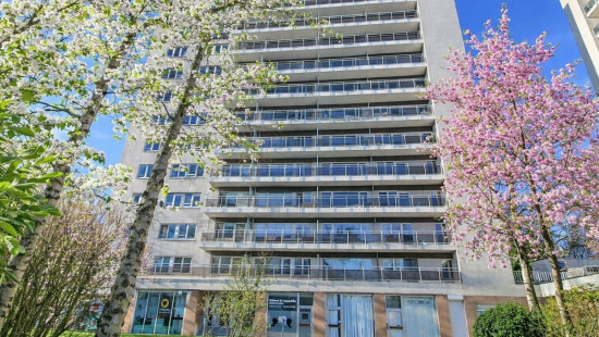 Avenue des immortelles - 3 - 0 - 1070