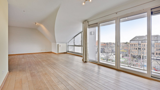 Markt - 54 - F - 2440