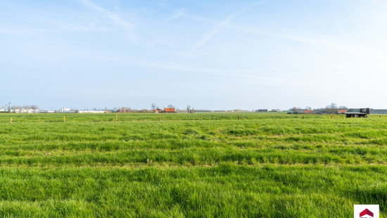 Meulebeeksesteenweg - 64 - - 8700