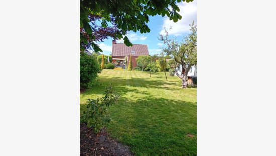 Meulebeeksesteenweg - 64 - - 8700