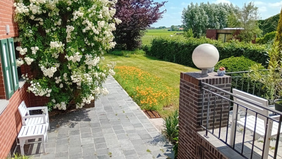 Meulebeeksesteenweg - 64 - - 8700