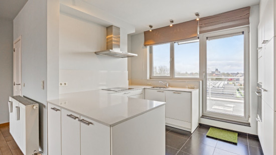 Markt - 54 - F - 2440