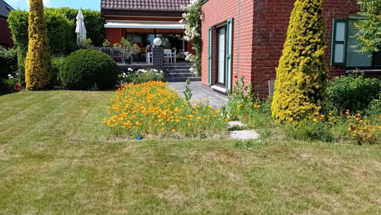 Meulebeeksesteenweg - 64 - - 8700