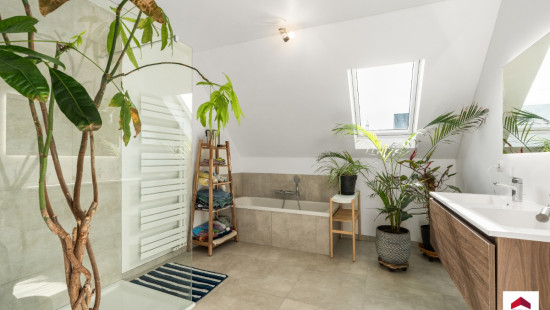 Molenweide - 1 - - 1654