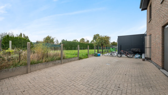 Vrankrijkstraat - 31 - bus 1 - 9200