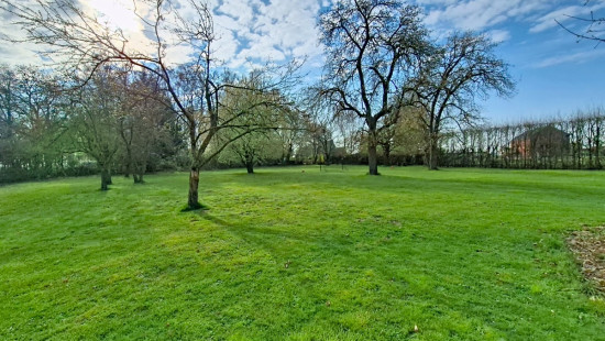 Rue Saint-Sauveur - 290 - - 4520