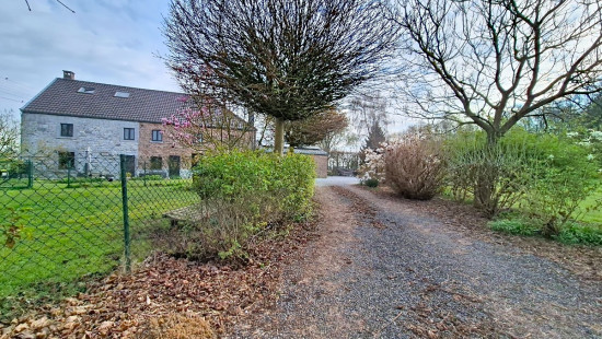 Rue Saint-Sauveur - 290 - - 4520