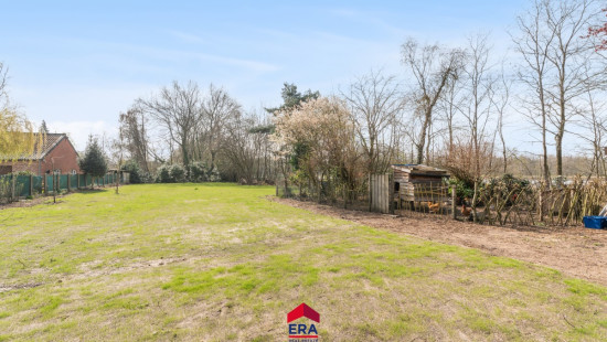 Driehuizen - 101 - - 2490