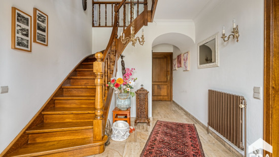 Koning Albertlaan - 8 - - 3920