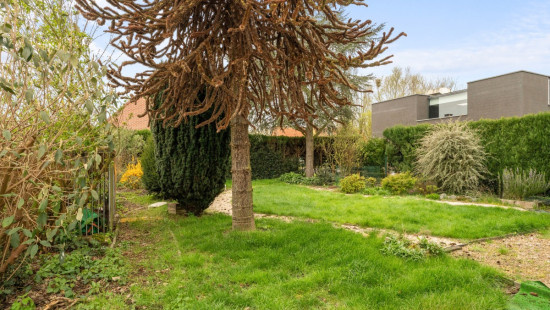 Outrijvestraat - 28 - - 8551