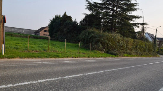 Groot Overlaar - 148 - - 3300