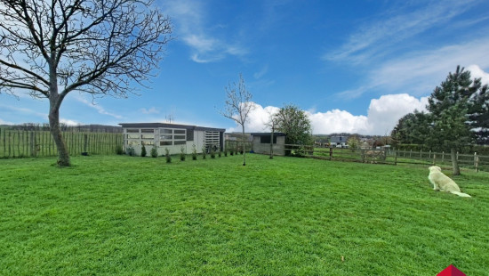 Rue de Rouvroy - 281 - - 5300