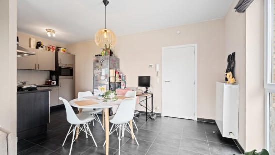 Temmershof - 2 - 0101 - 1745