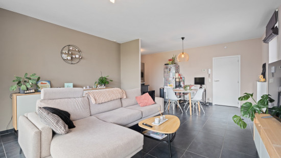 Temmershof - 2 - 0101 - 1745