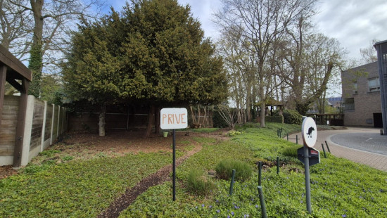 Temmershof - 2 - 0101 - 1745