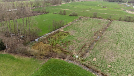 Hooiendonkstraat - - - 2801