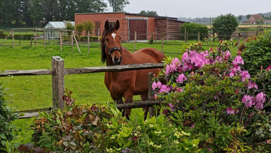 Klerkenstraat - 166 - - 8920