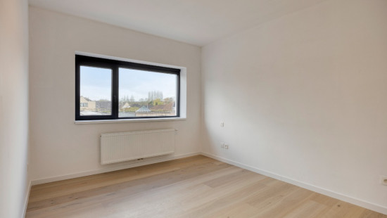 Loze Bareel - 37 - - 2560