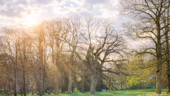 Prins Albertlei - 31 - A11 - 2018