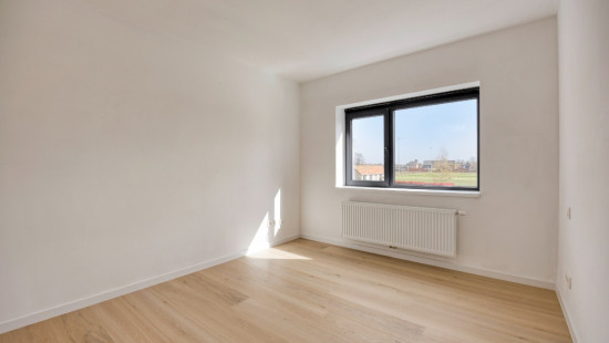 Loze Bareel - 37 - - 2560